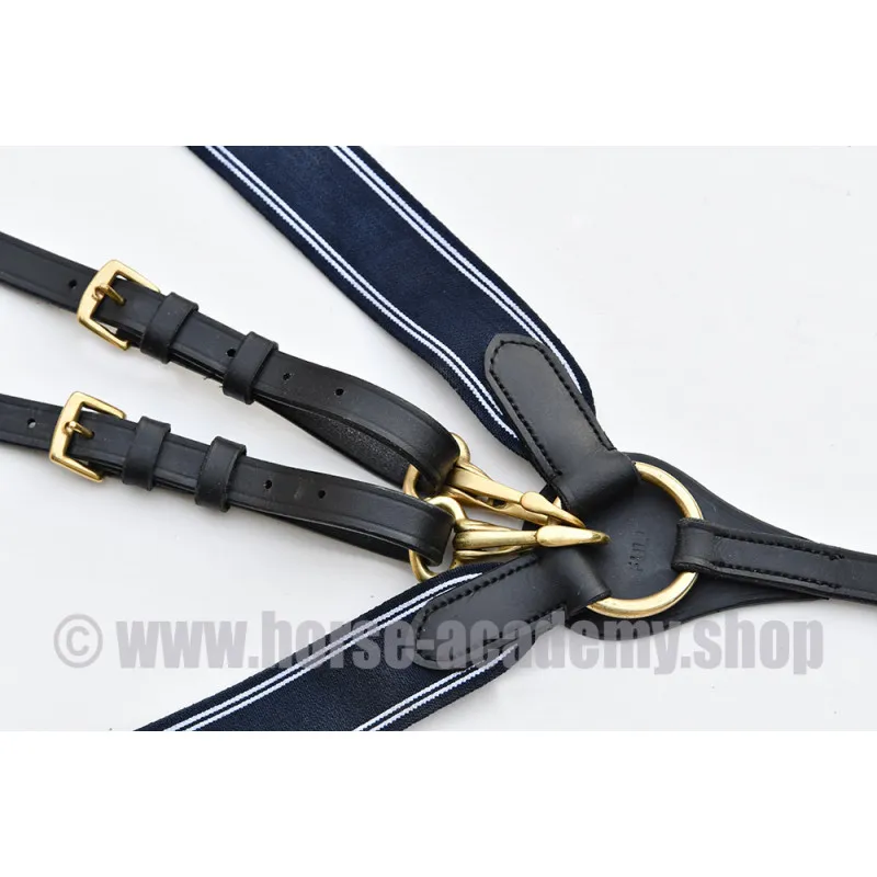 Collier de chasse avec martingale à élastique