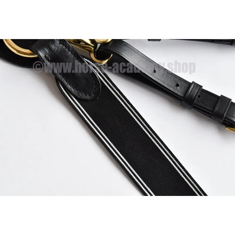 Collier de chasse avec martingale à élastique