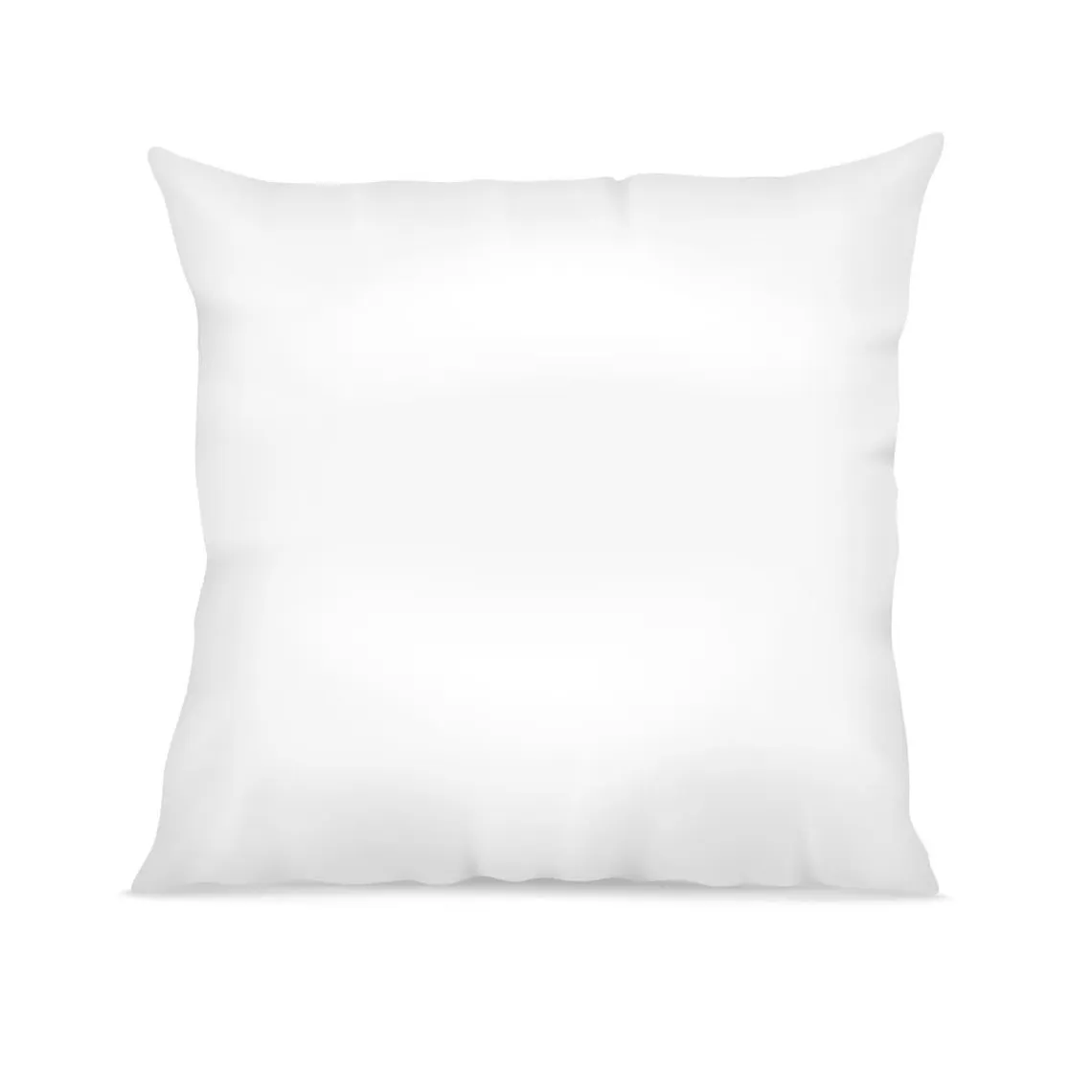 Oreiller Hygiène Plus Anti-acariens Microfibre | 3 Suisses